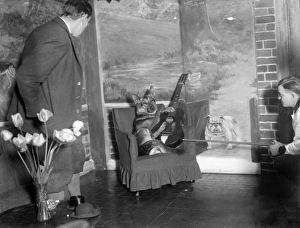 Doggy Guitarist Doggy Guitarist