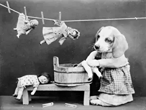 Freshly Prints: Doggy Laundress