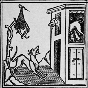 Fable Collection: The two dogs