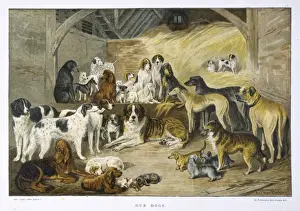 Our Dogs by Arthur Baker