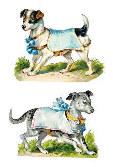 Dogs in blue on two Victorian scraps