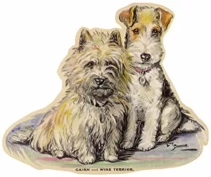 Wire Collection: Dogs, Cairn and Wire Terrier, Dawson