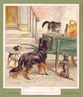 Dadd Prints: Three dogs and a cat on a Christmas card