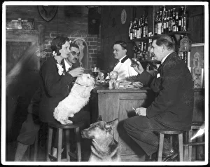 Dogs Club Cocktail Bar