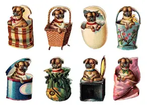 Eggshell Prints: Dogs in containers on eight Victorian scraps