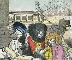 Whip Collection: The Dogs Dinner Party