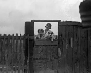 Dogs at a Dog Hotel