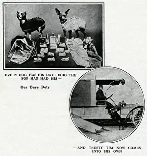 Stretcher Prints: Dogs doing their wartime duty, WW1