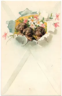 Three dogs with flowers on a greetings postcard