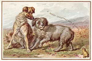 Toad Prints: Two dogs and frog on a Christmas and New Year card