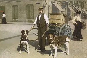 Milk Man Prints: Dogs Harnesed to Cart