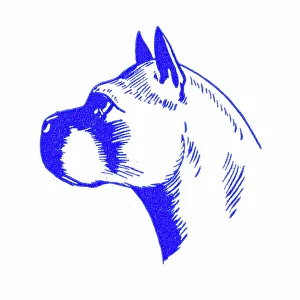 Printers Prints: Dog's head in profile - 1950s printer's block