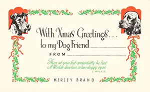 Two dogs with holly on a Christmas card