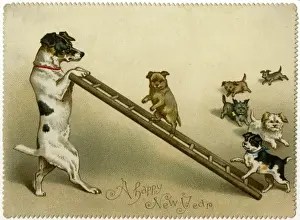 Forelegs Prints: Dogs and Ladder