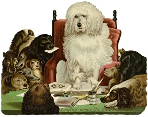 Dogs Lay down the Law