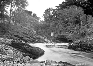 Londonderry Gallery: Dogs Leap, R. Roe, Limavady, Co. Londonderry