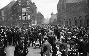 Dogs/Market/London