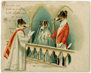 Images Dated 14th November 2011: Dogs Get Married