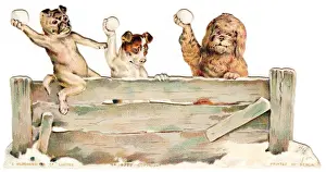 Three dogs throwing snowballs on a Christmas card