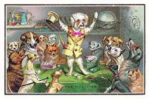 Dice Prints: Dogs watching a dog magician on a Christmas card