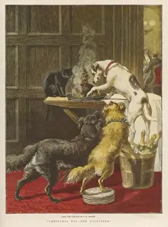 Dogs and Xmas Pudding