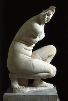 Aphrodite / Venus