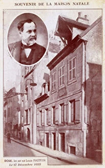 Vaccination Collection: Dole, France - Birthplace of Louis Pasteur