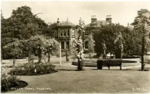 Dollar Prints: Dollar Park, Falkirk, Stirlingshire