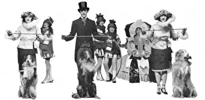 The Dollies and the Collies