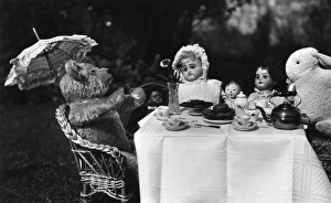 Teatime Collection: Dolls, teddy and rabbit enjoying a tea party