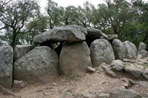 Images Dated 2007 April: 