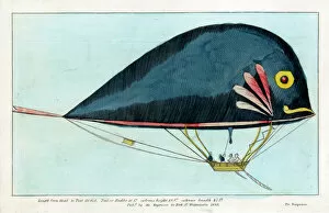 1835 Collection: Dolphin airship by Jean Samuel Pauly and Durs Egg