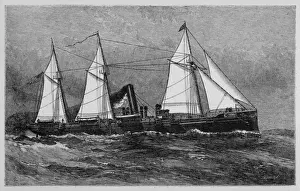 Dolphin Steamer