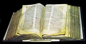 Images Dated 20th April 2018: The Domesday Book