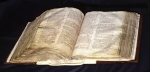 Spread Gallery: The Domesday Book