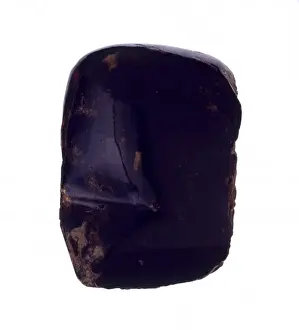 Dominican amber
