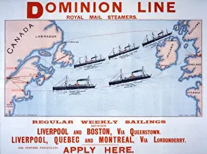 Dominion Line steamers