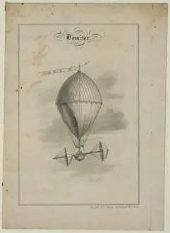 Domitor