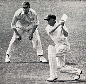 Hammond Collection: Don Bradman batting at Perth, Hammond in slips