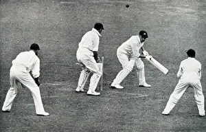 Bradman Prints: Don Bradman bowled by Verity at Lords