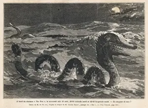 Don Sea Serpent