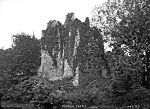 Undergrowth Prints: Donegal Castle