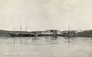 Whaling Prints: Donkergat, Western Cape Province, South Africa