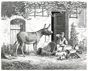 Clap Prints: When a donkey brays, humans clap their hands to their ears and even dogs look up in surprise Date: 1863