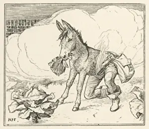 Transformed Prints: The Donkey Cabbage