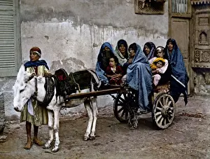 Donkey cart, Egypt, circa 1890s
