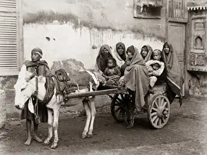Donkey and cart with passengers, Cairo, Egypt, circa 1890