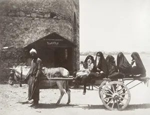 Donkey cart, passengers - Egyptian women, Egypt