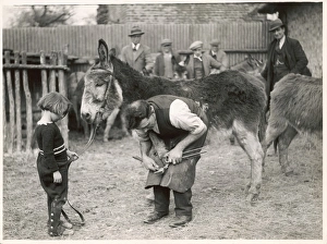 Donkey Ride/Margate