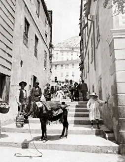 Gibraltar Prints: Donkey in Gibraltar street, c. 1890 s